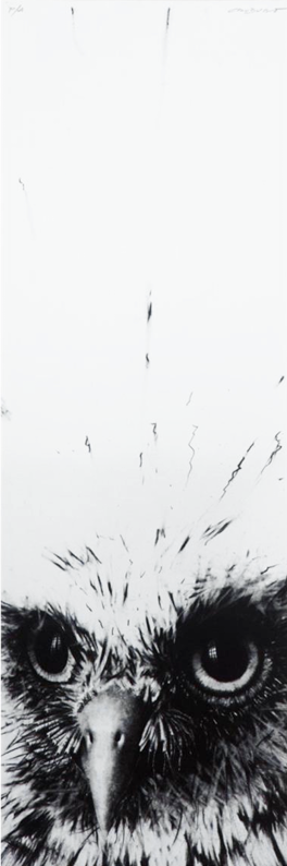 Cabez de búho por Rafael Cauduro