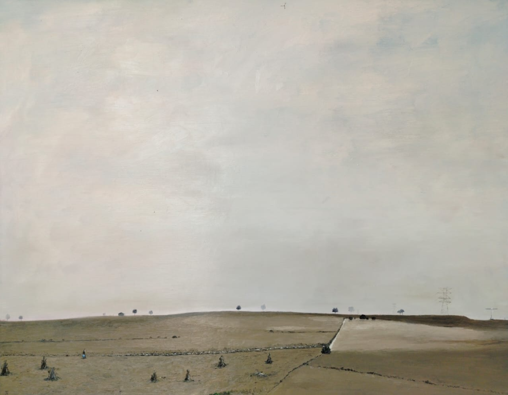 Camino a casa por Manuel De Cisneros