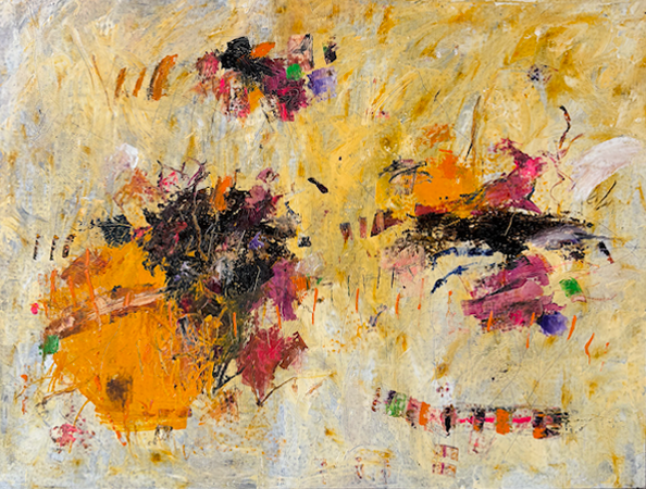 Catálogo de nidos por Javier Fernández