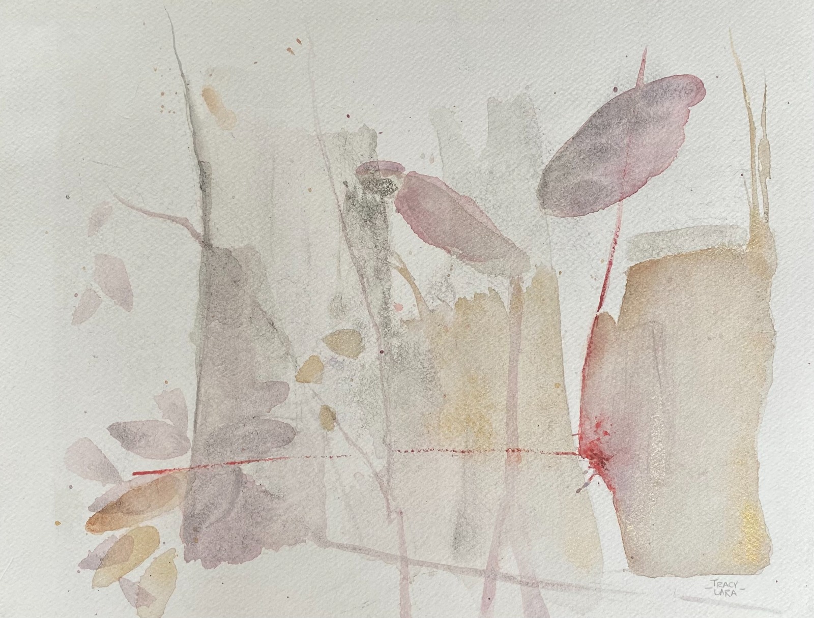 Comienzos 13 por Tracy Lara