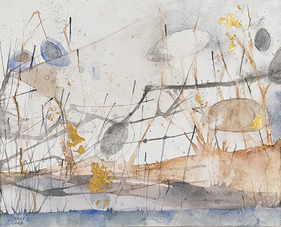 Comienzos 1 por Tracy Lara