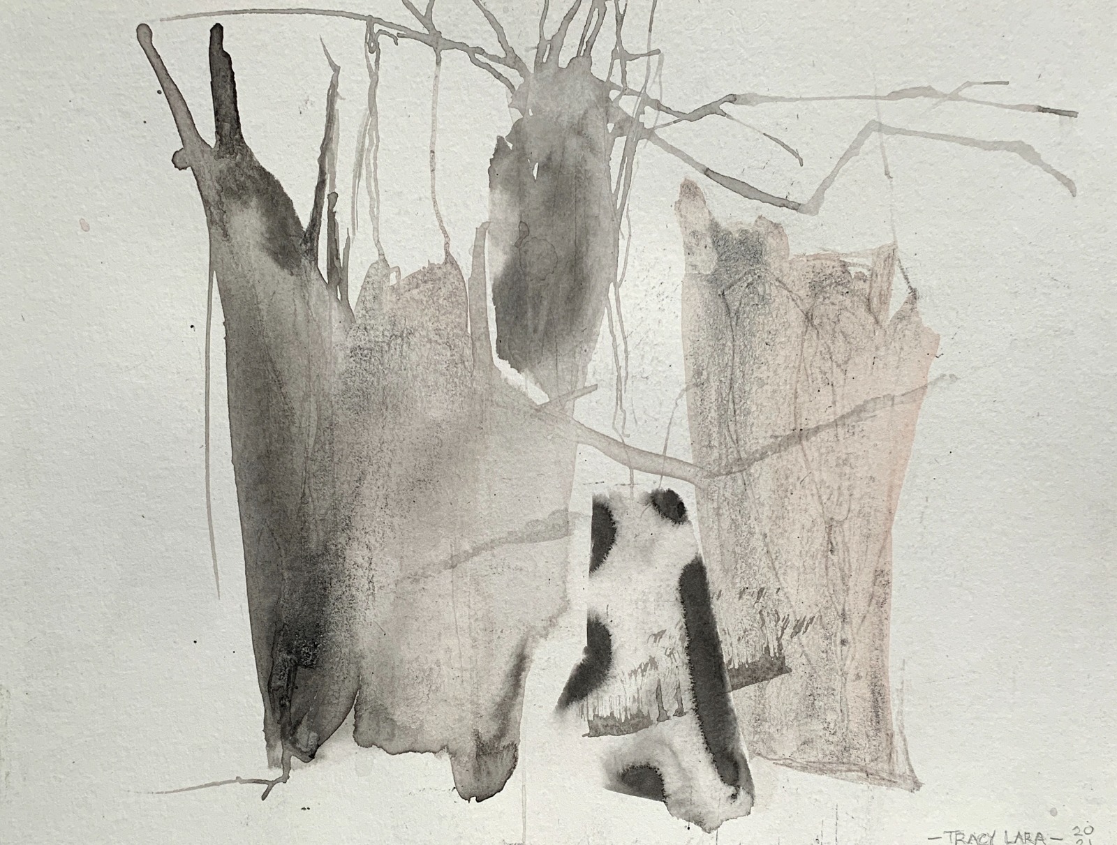 Comienzos 7 por Tracy Lara