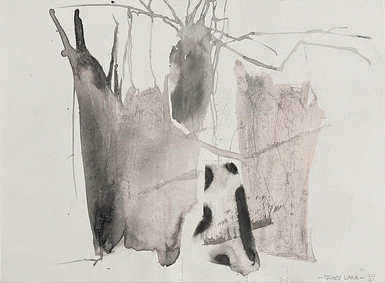 Comienzos 7 por Tracy Lara