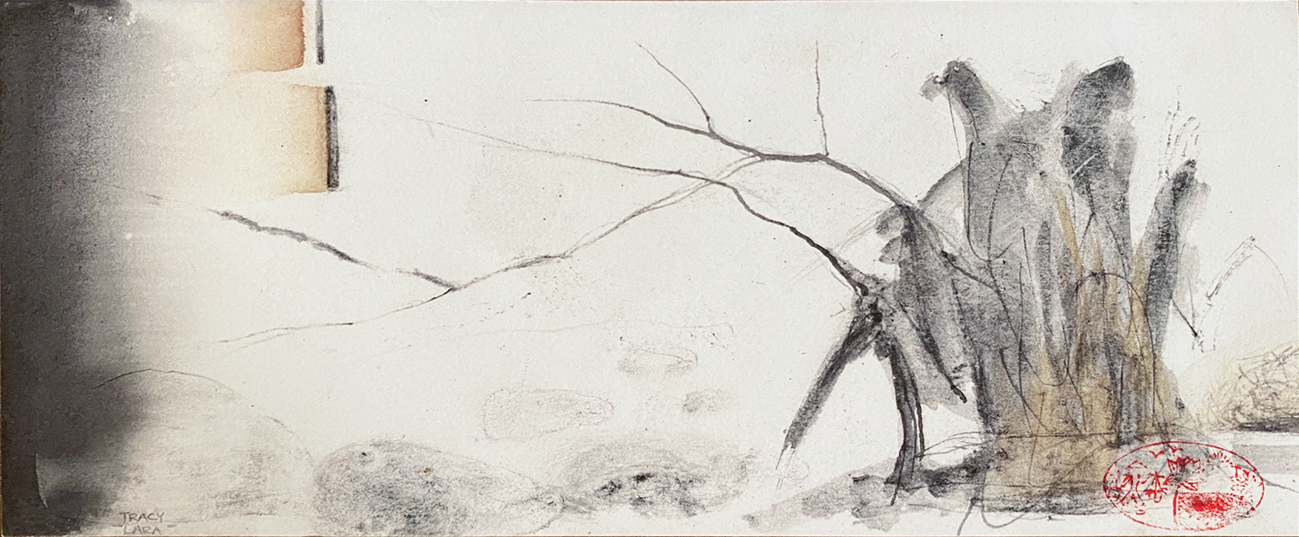 Comienzos 9 16/20 por Tracy Lara