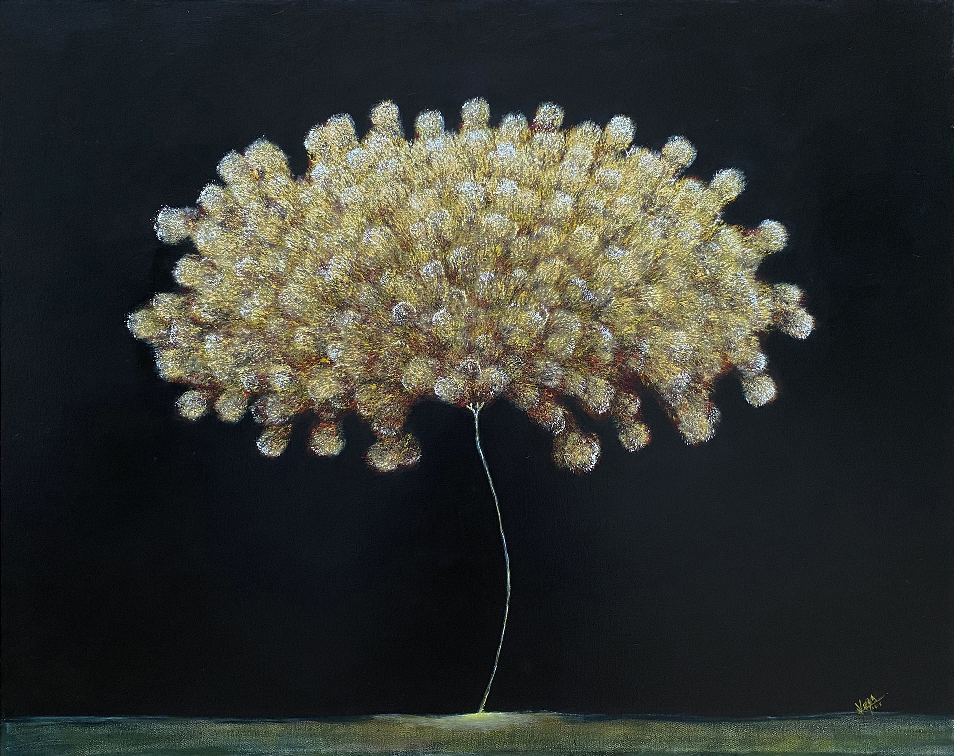 Destellos por Rosendo Vega