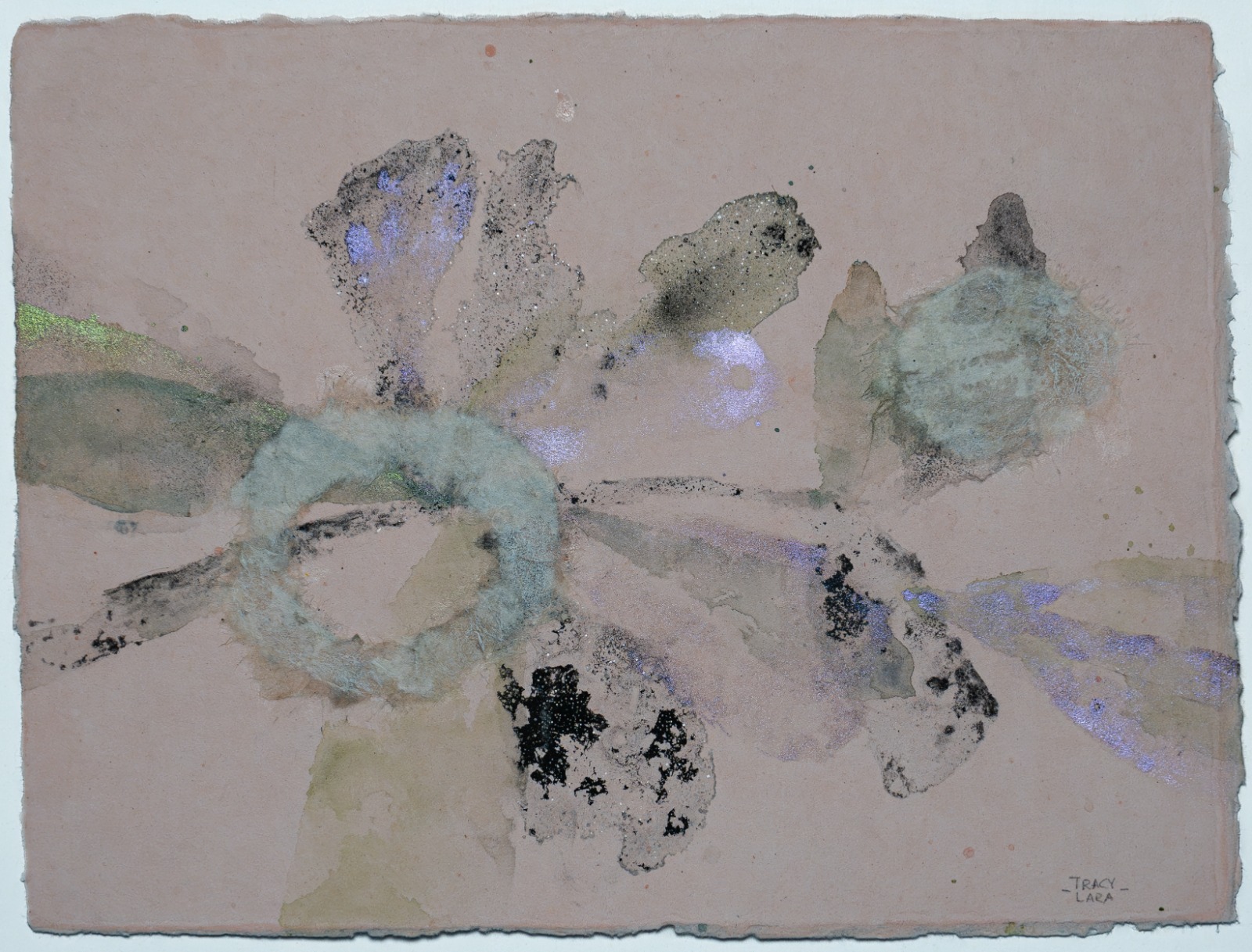 Entre brotes y floración por Tracy Lara