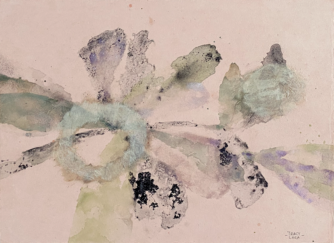 Entre brotes y floración por Tracy Lara