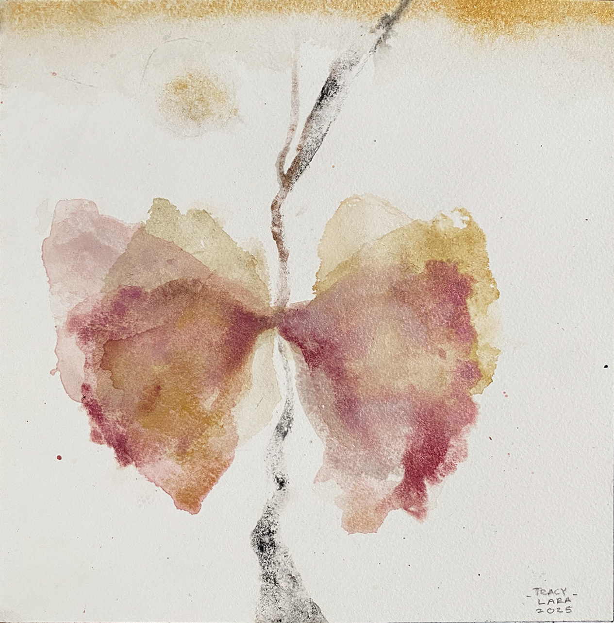 Entre brotes y floración III por Tracy Lara