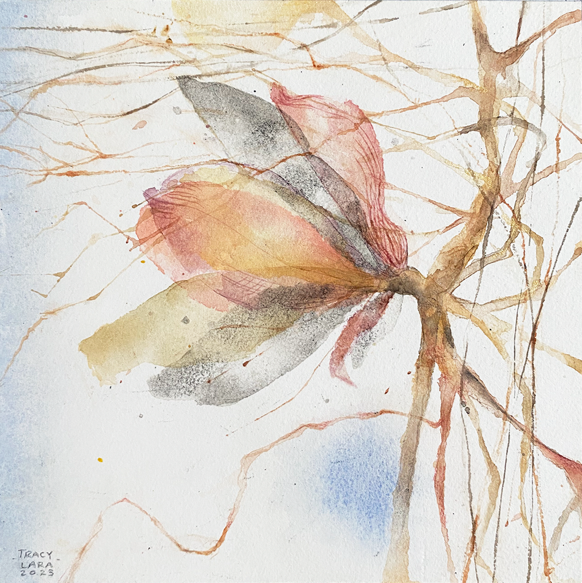 Entre brotes y floración IV por Tracy Lara