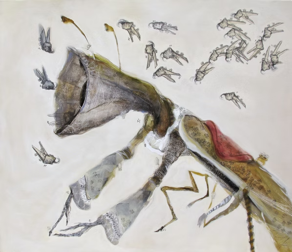 Erótica (insectiada) por Irma Gutierrez