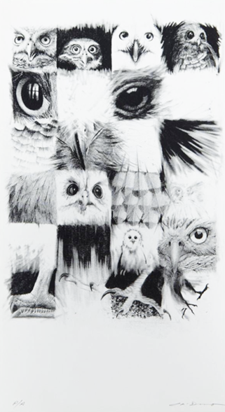 Es hicieron la vida de cuadritos a los búhos por Rafael Cauduro