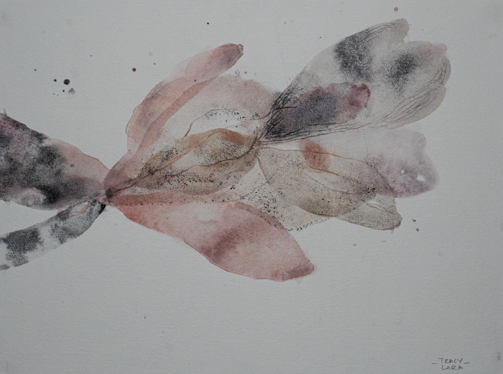 Flor abierta 55 por Tracy Lara