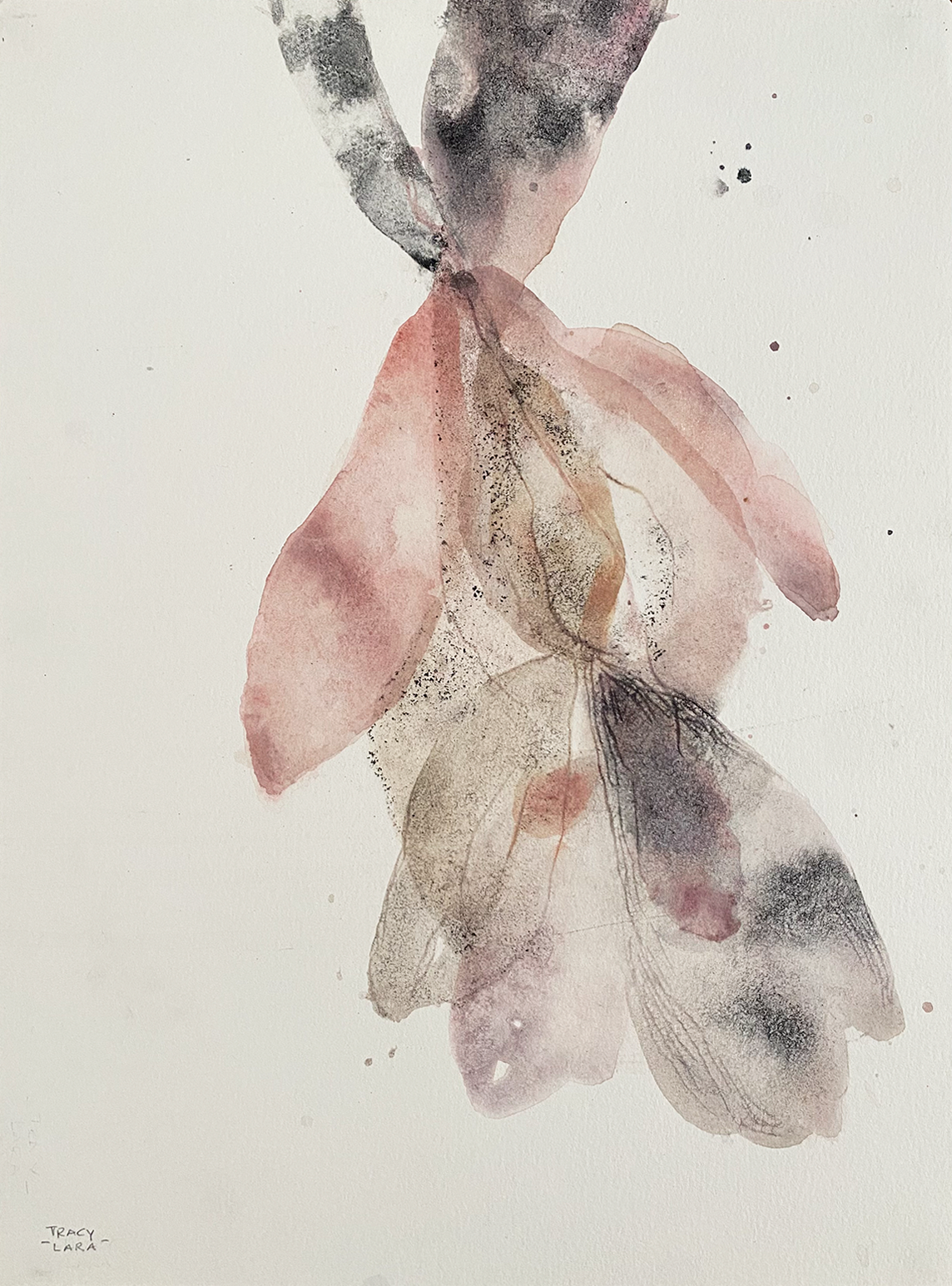 Flor abierta 55 por Tracy Lara