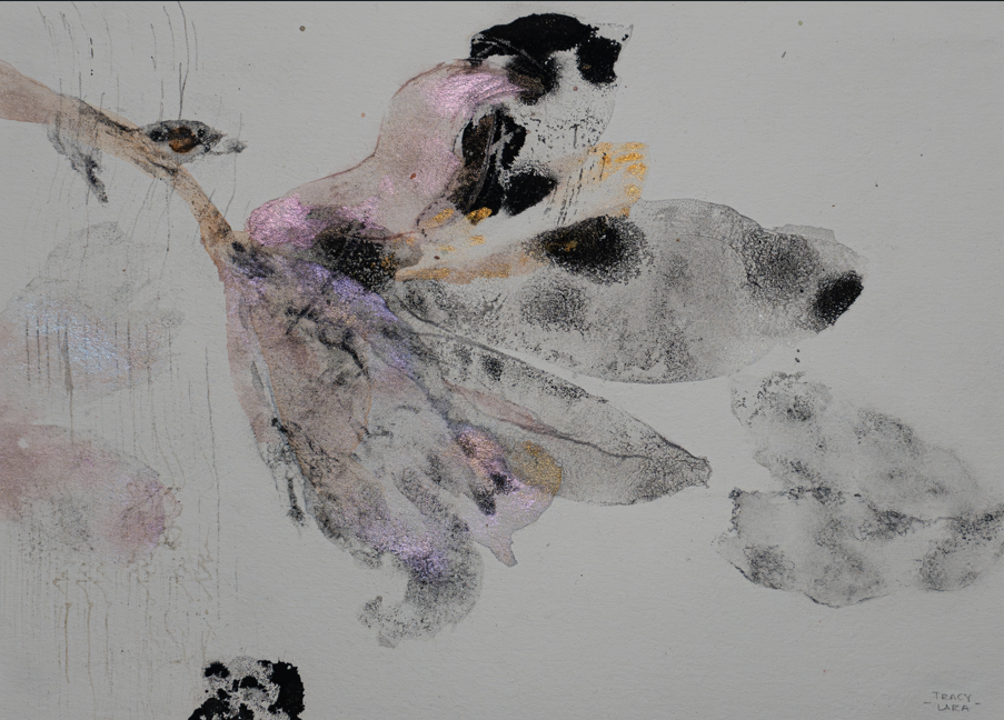 Flor abierta 57 por Tracy Lara