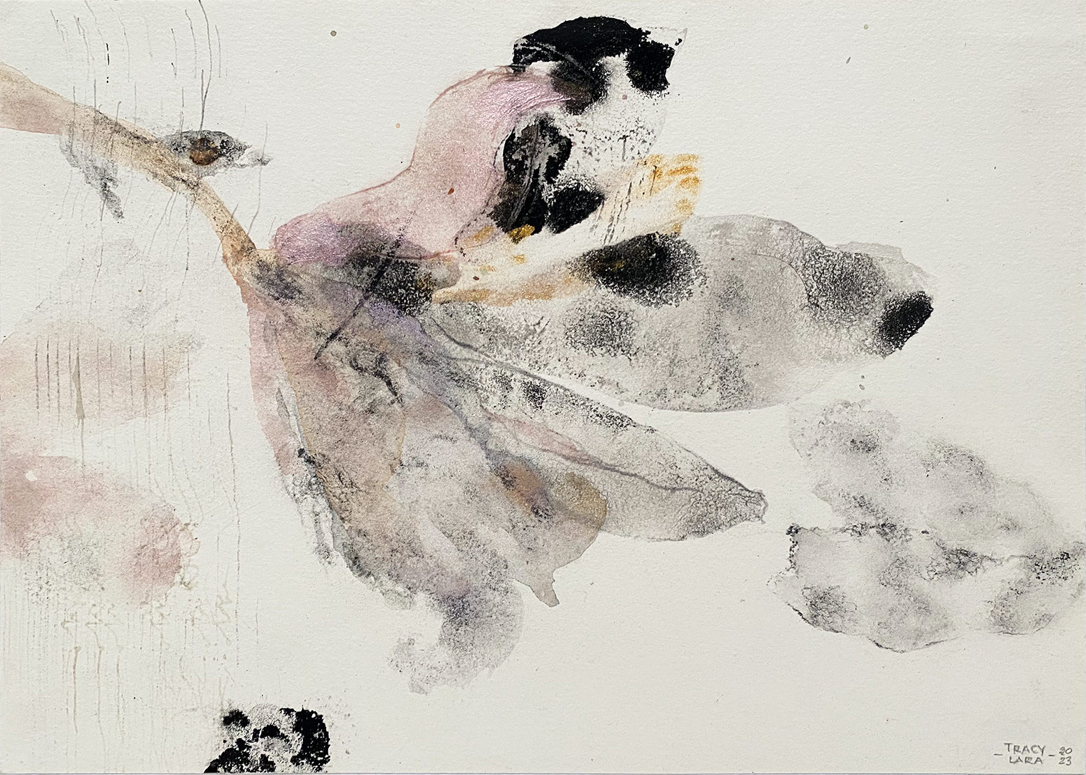 Flor abierta 57 por Tracy Lara