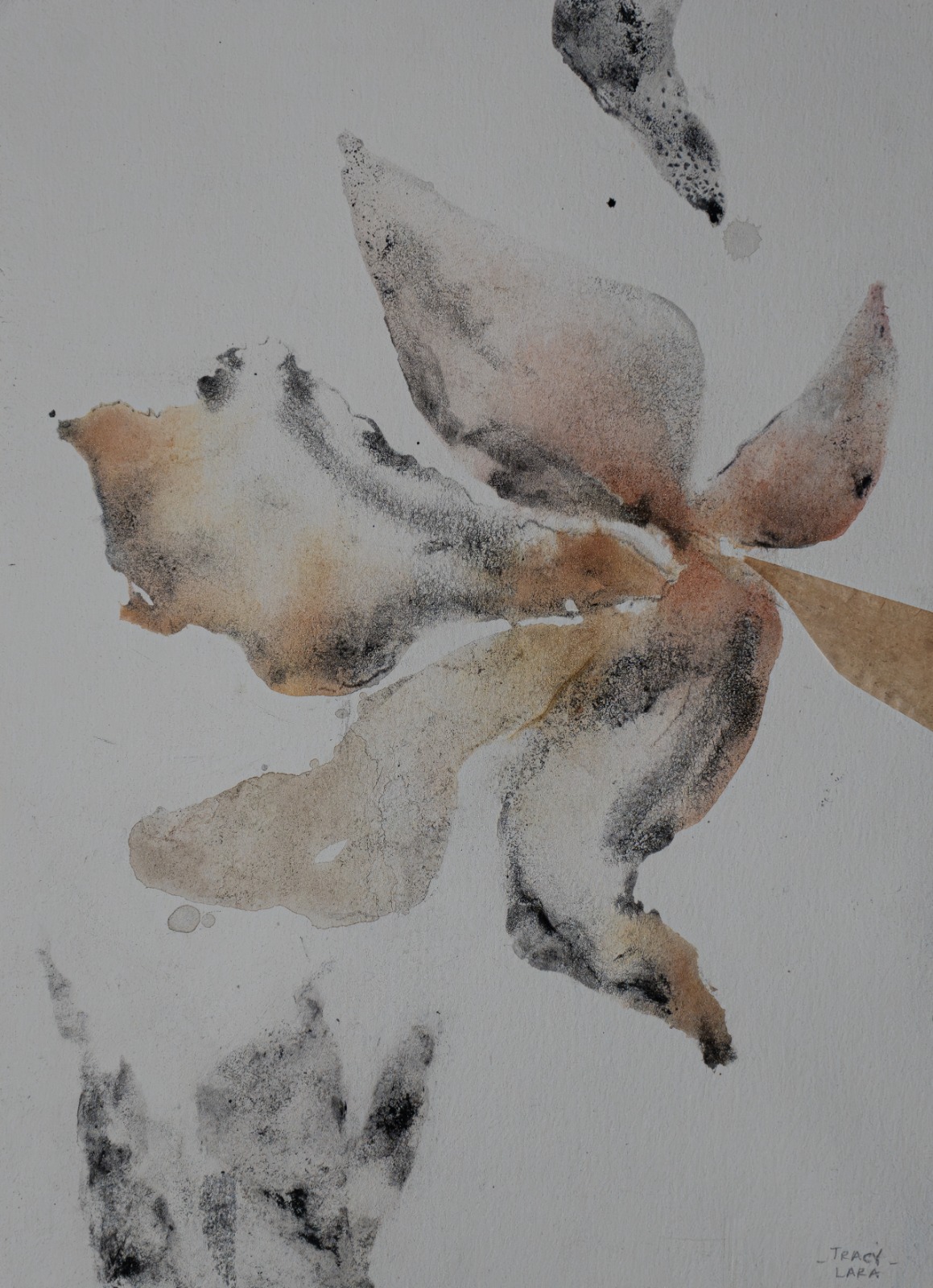 Flor abierta 60 por Tracy Lara