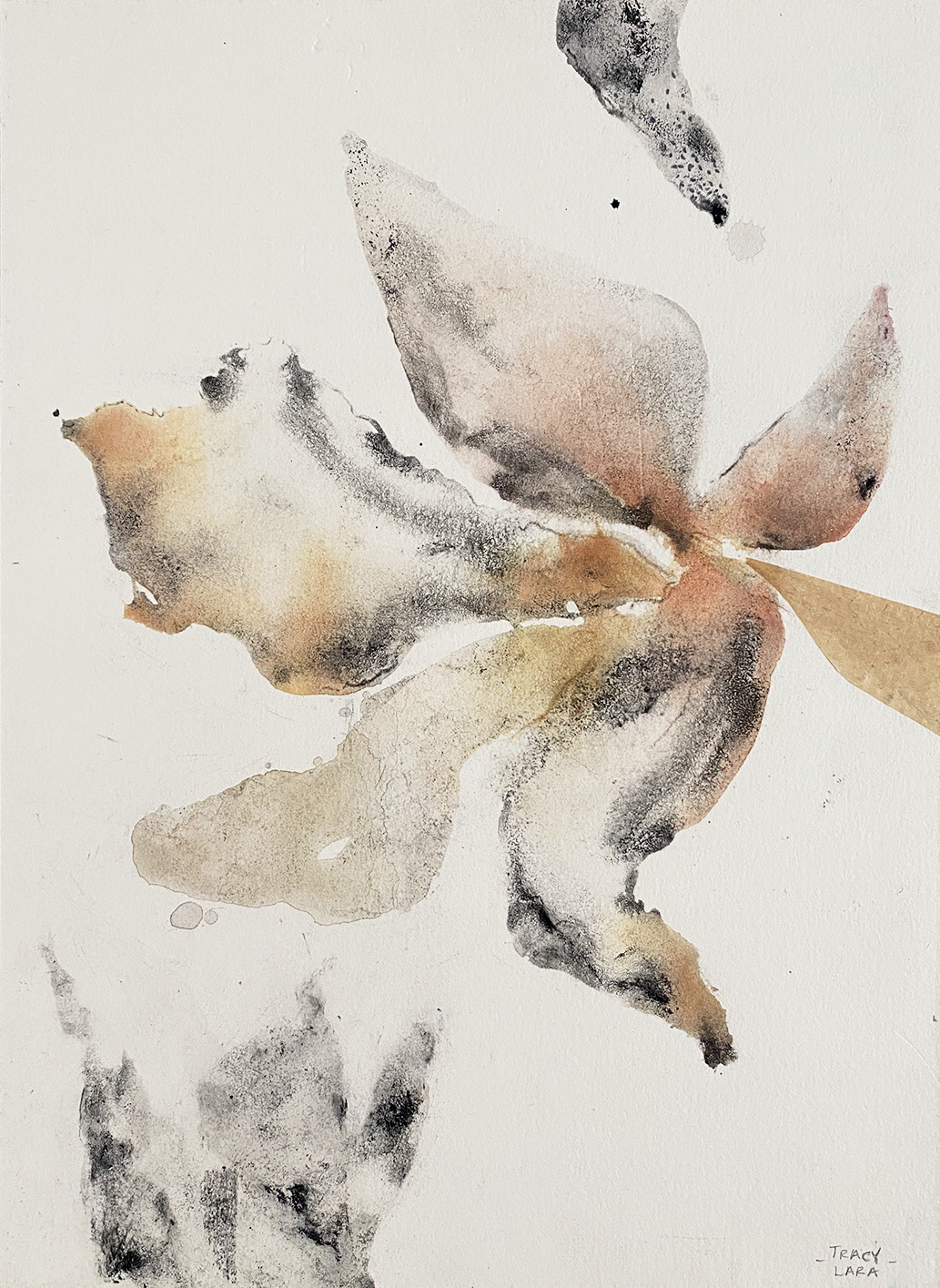 Flor abierta 60 por Tracy Lara