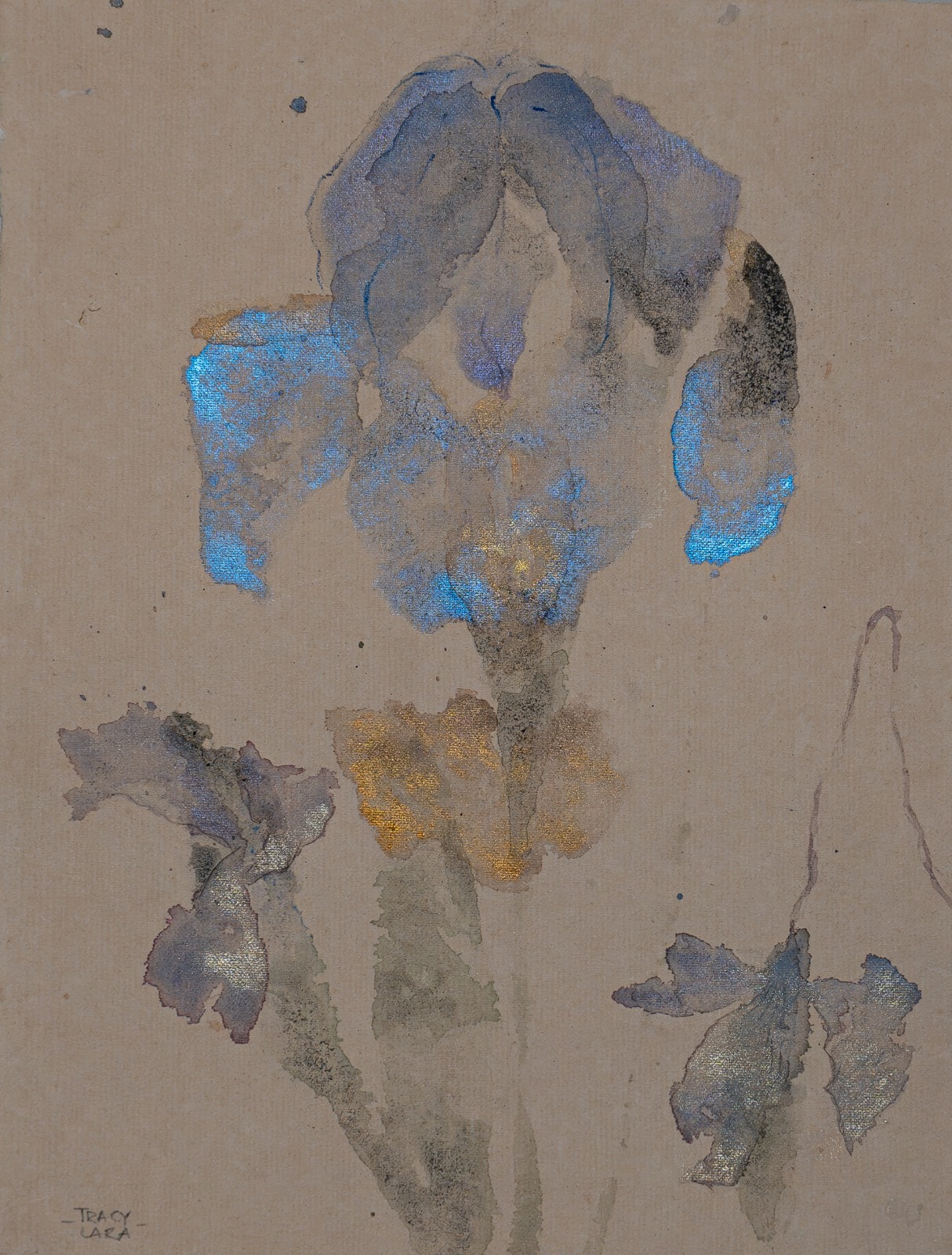 Flor abierta 62 por Tracy Lara