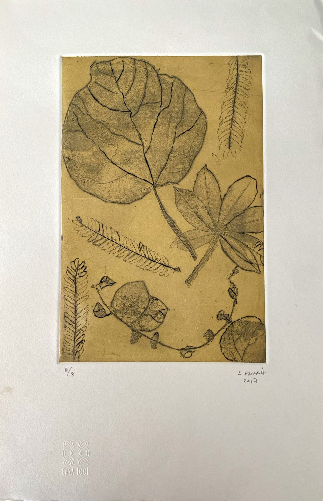 Flora 8/8 por Samia Farah