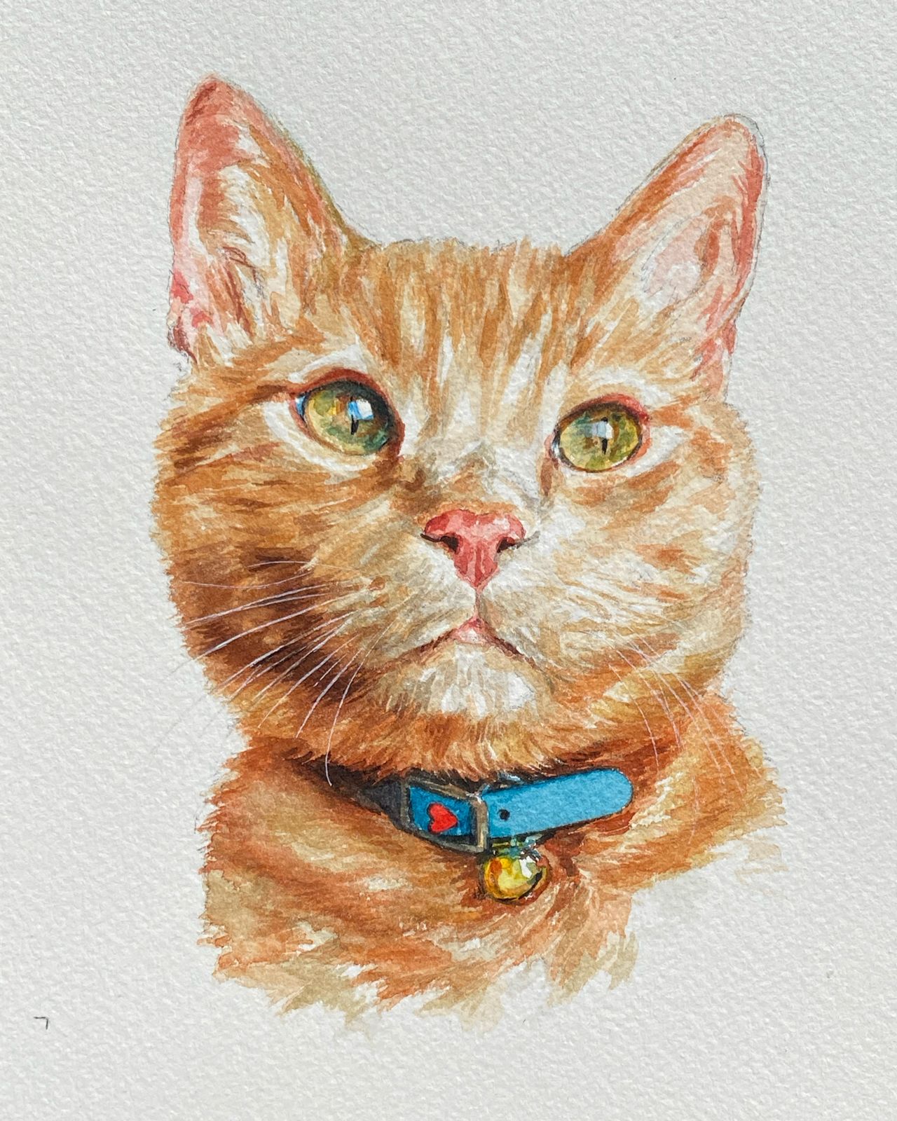 Gato 1 por Oliver Flores