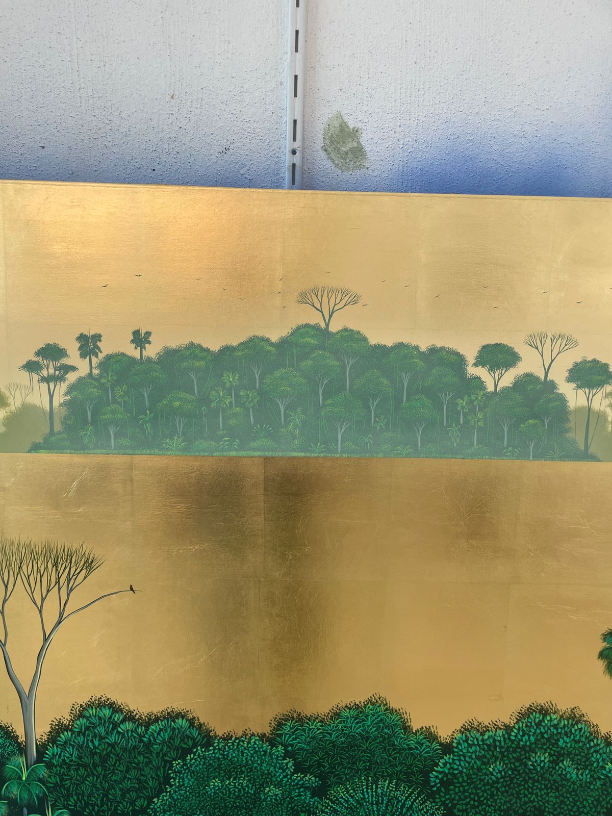 Isla que regresa del olvido