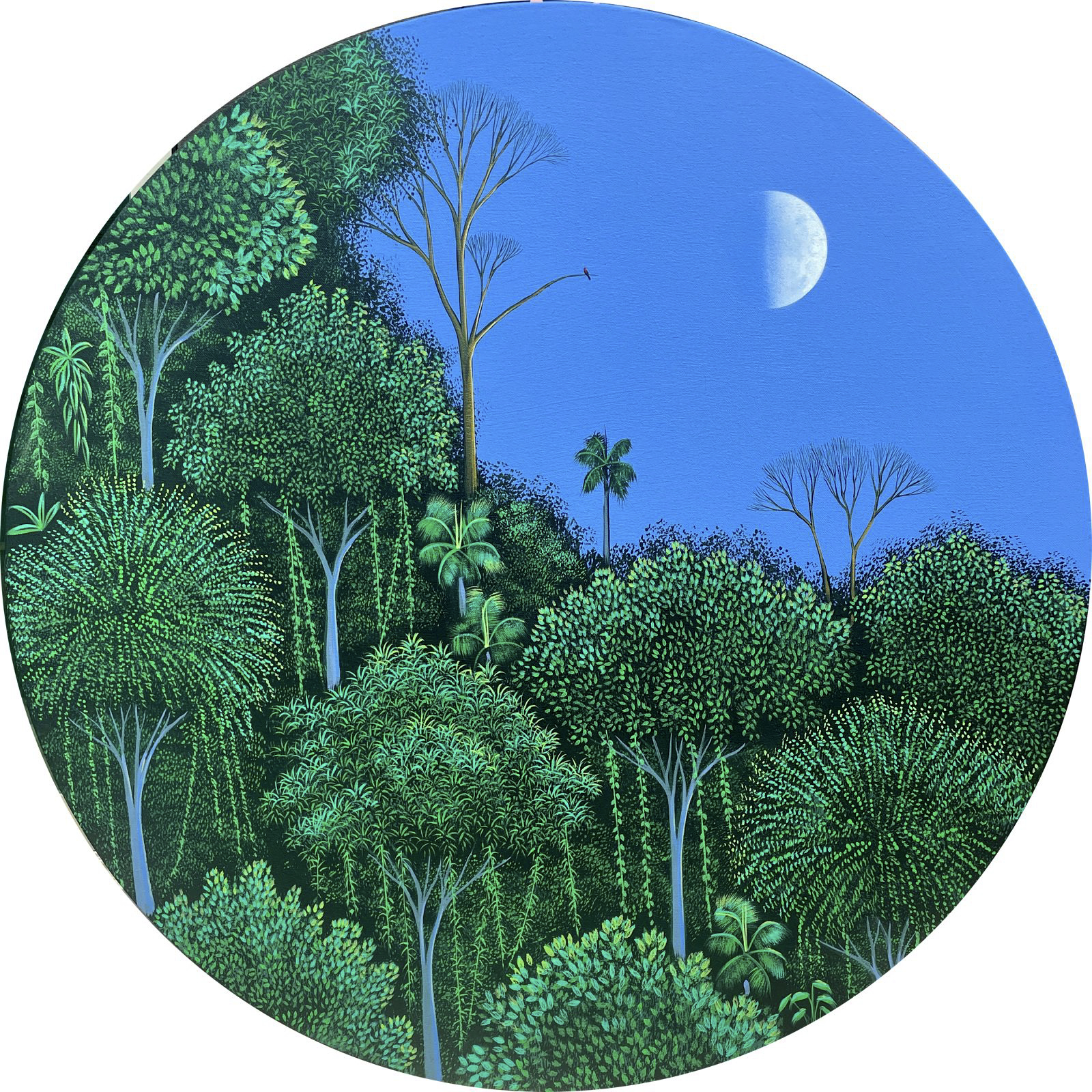 Luna que arrulla al ave por César Mendoza