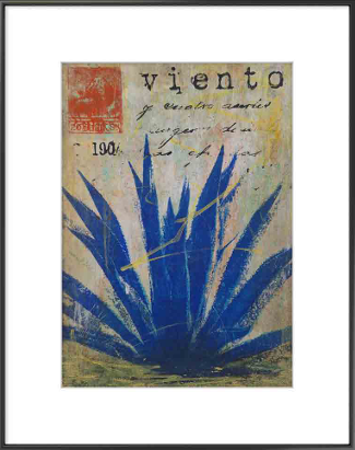 Maguey y viento por Ana Santos