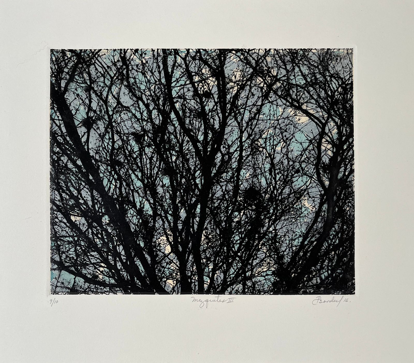 Mezquites III 9/10 por Pilar Bordes