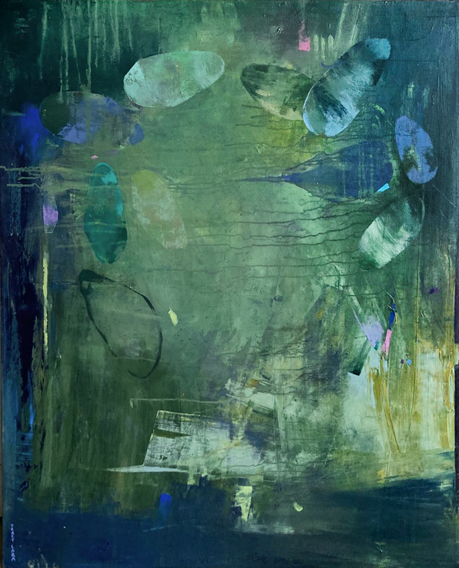 Piedras vivas V por Tracy Lara