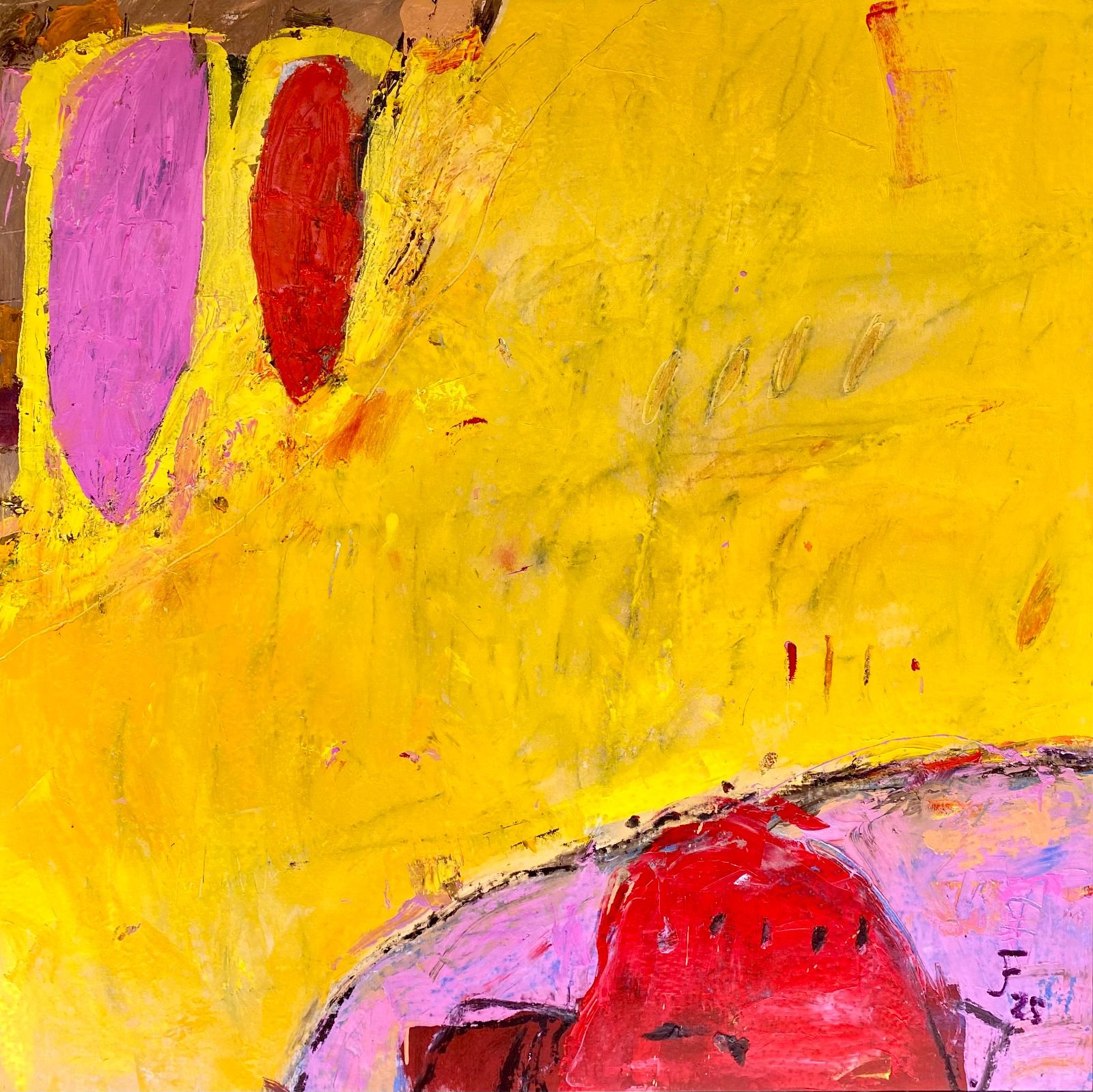 Pitahaya por Javier Fernández