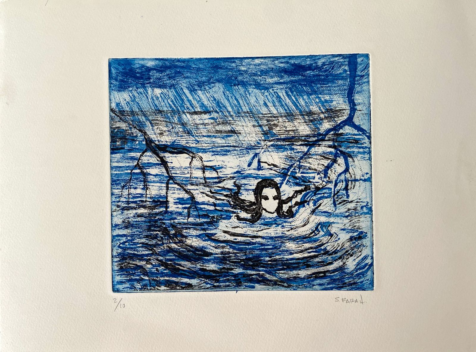 Tormenta en el manglar por Samia Farah