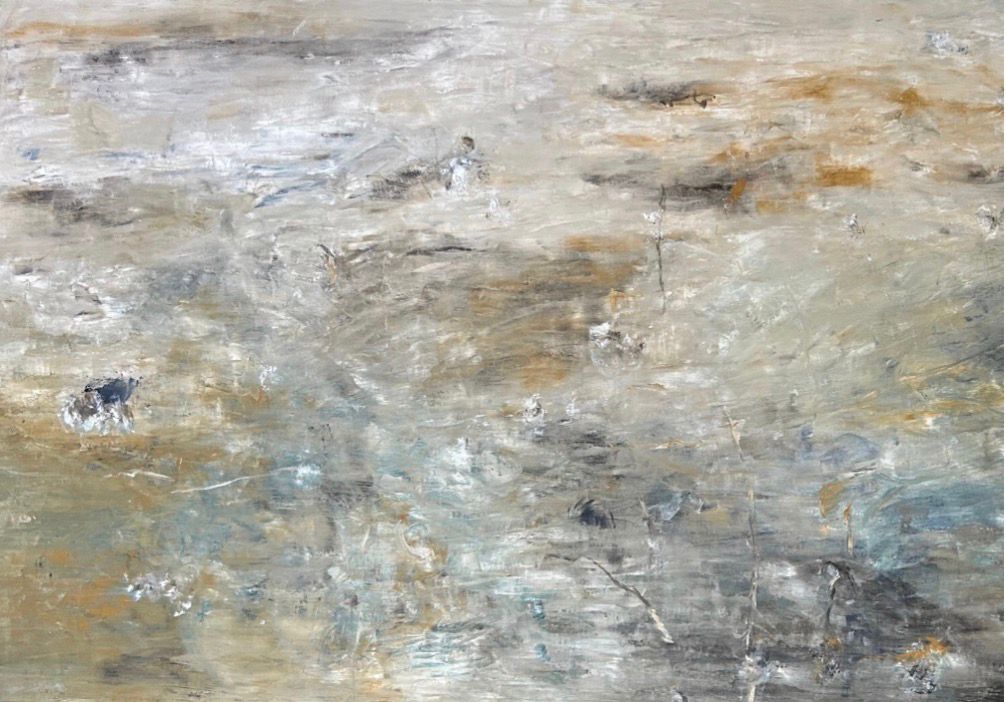 Transparencias por Irma Palacios