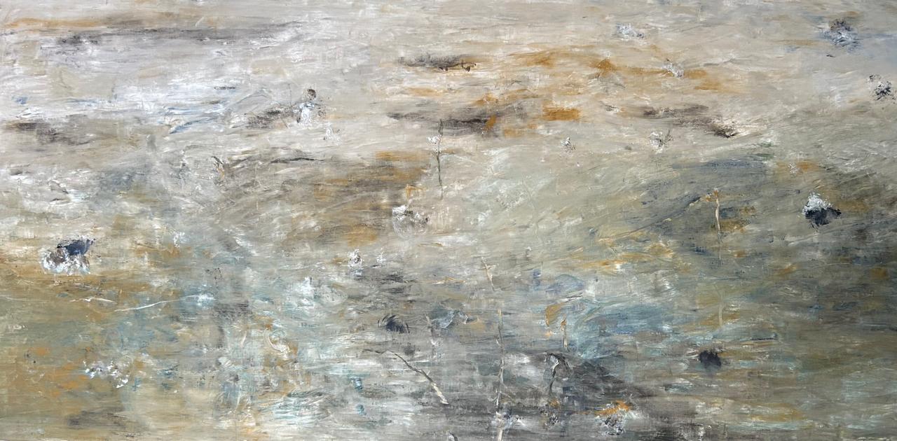 Transparencias por Irma Palacios