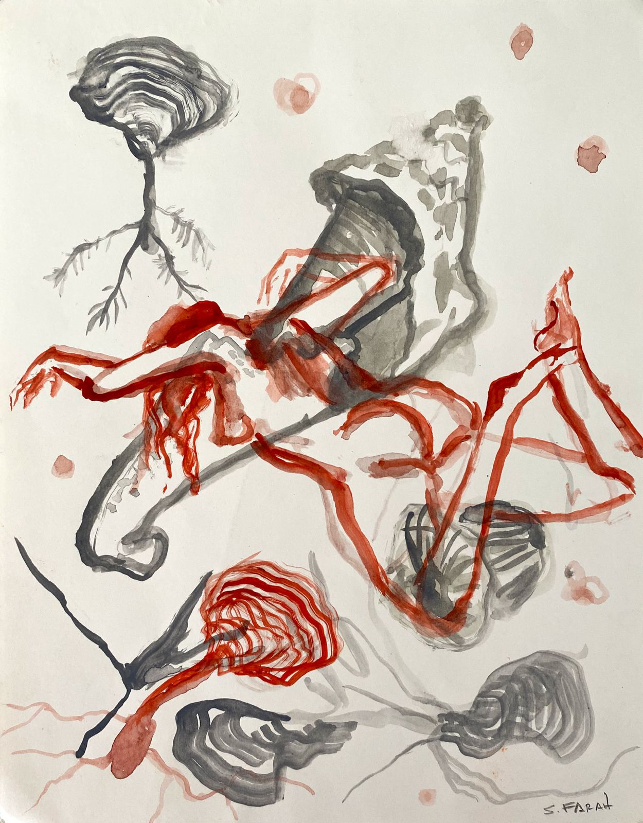 Udoteas y caracolas por Samia Farah