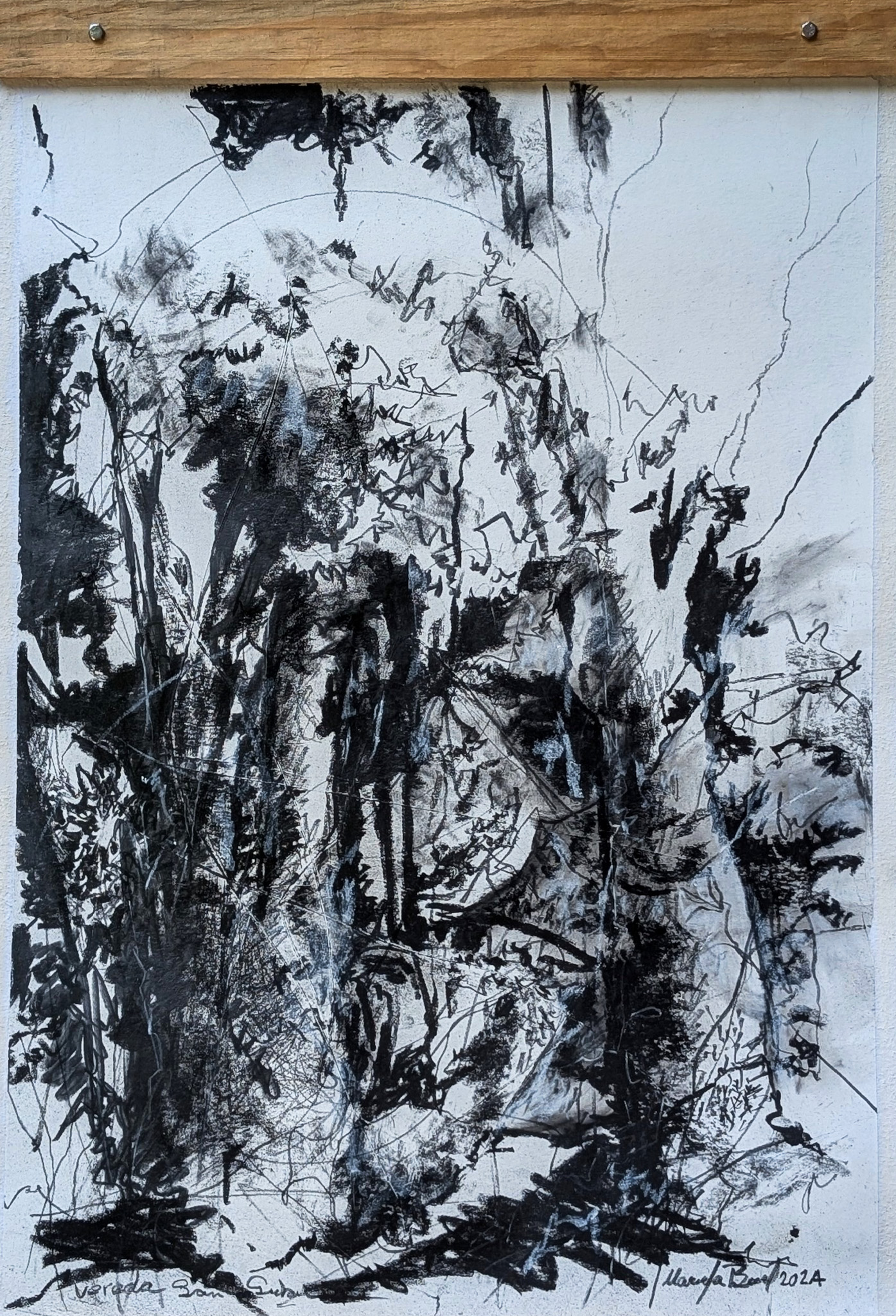 VEREDA DE SAN SEBASTIAN I por Marcela Bernal