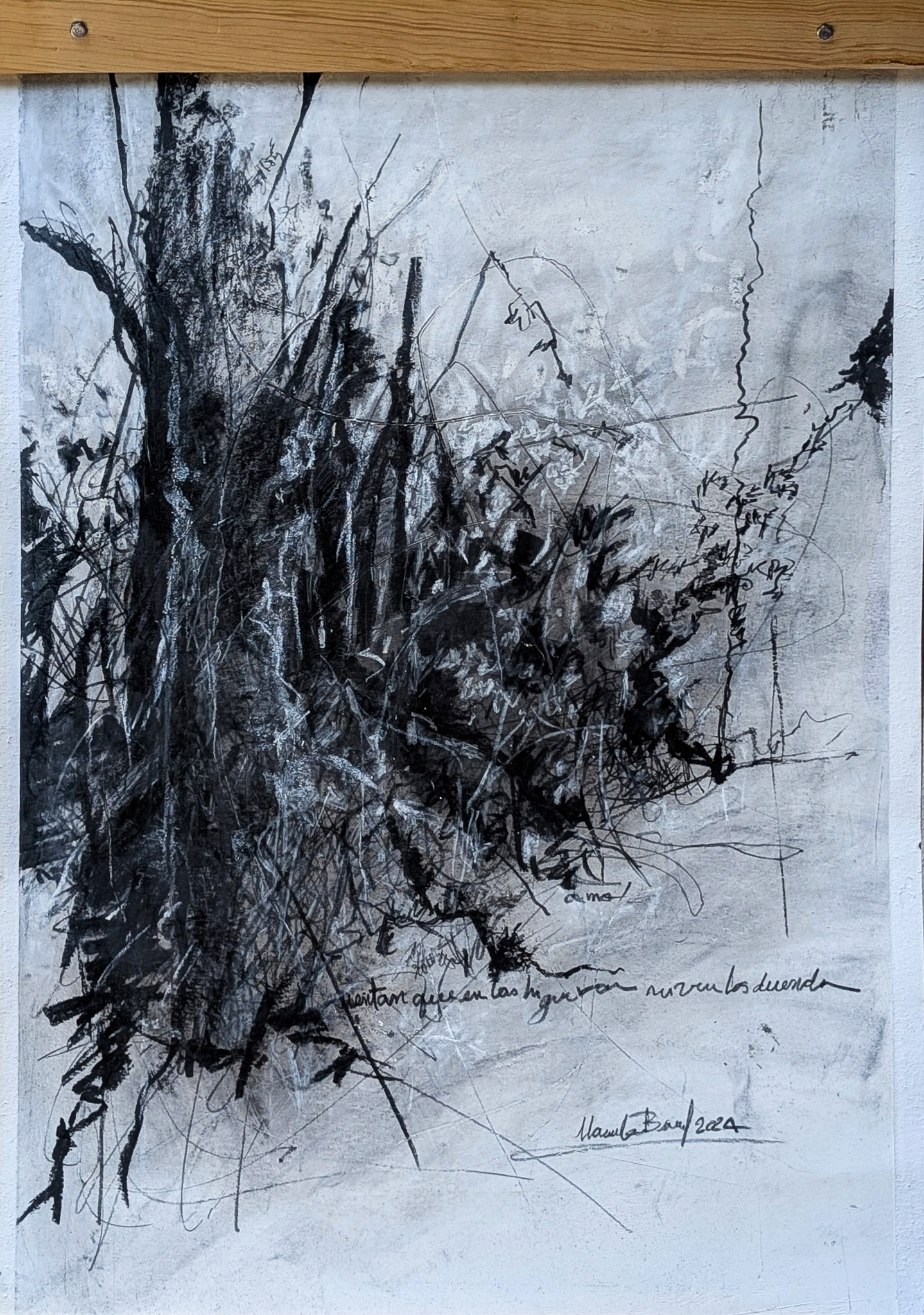 VEREDA DE SAN SEBASTIAN III por Marcela Bernal