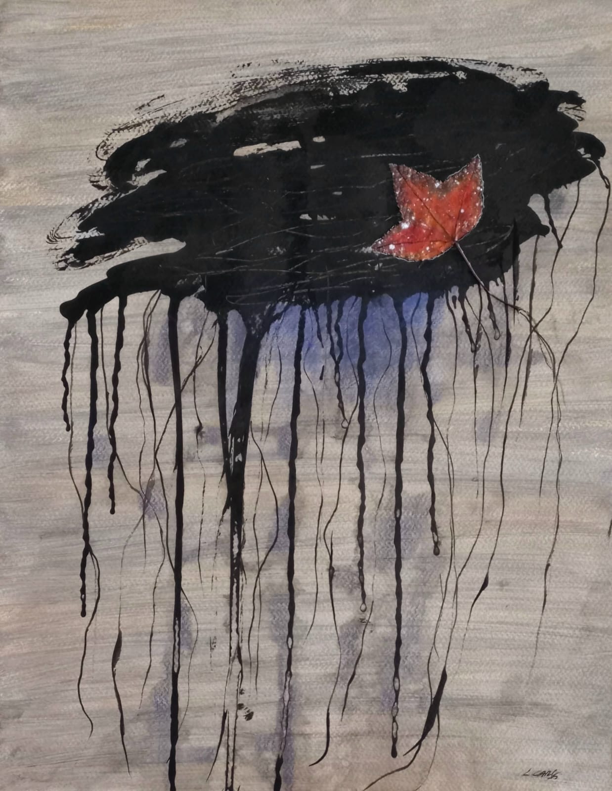 Vuelo por Leticia Carski