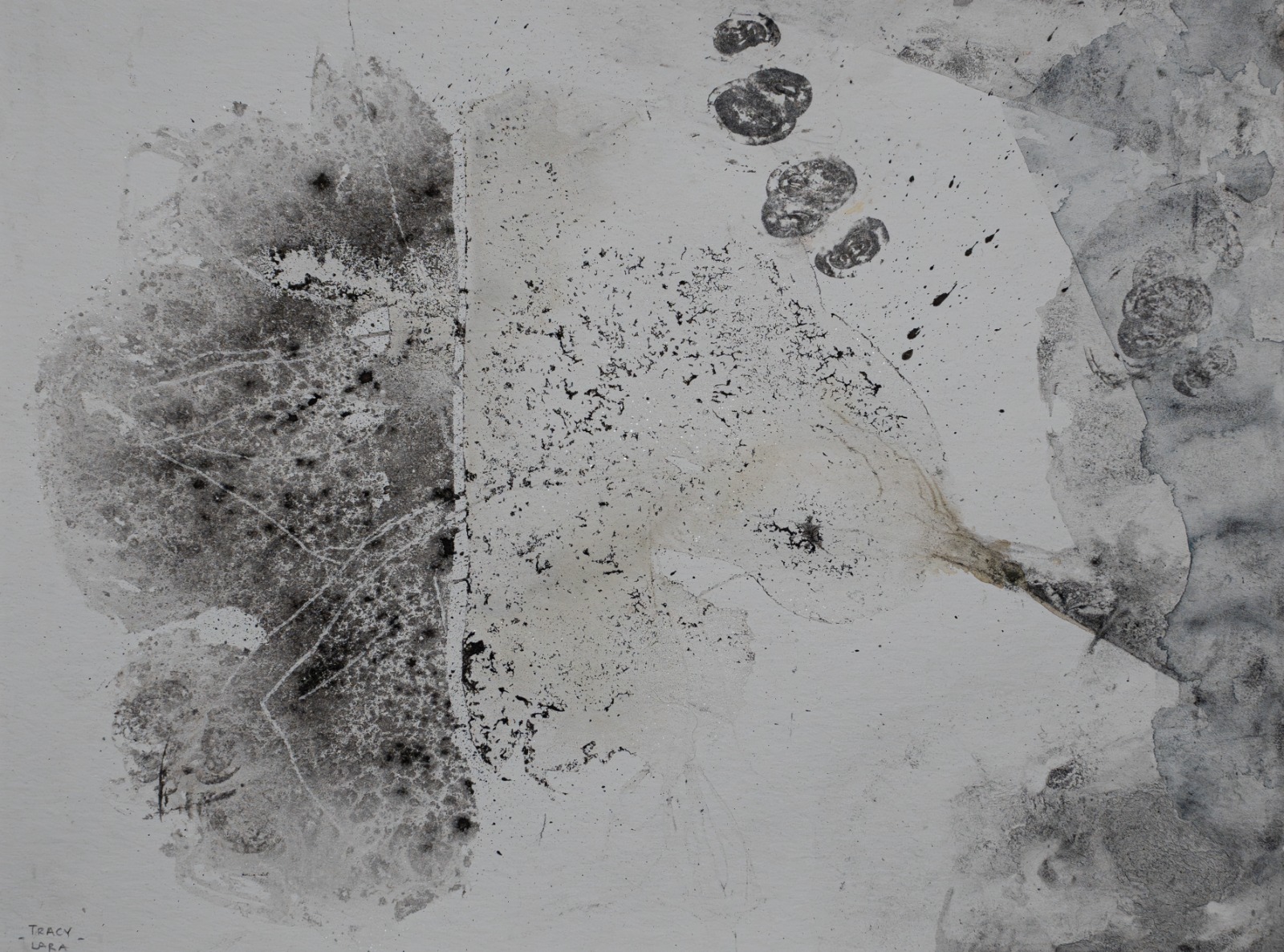 Weightless flora 1 por Tracy Lara