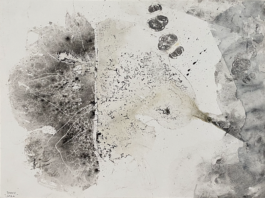 Weightless flora 1 por Tracy Lara