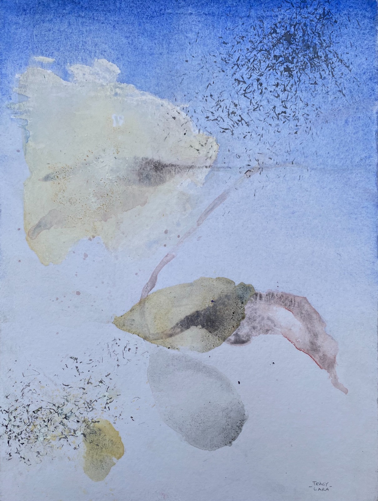 Weightless flora 4 1/5 por Tracy Lara