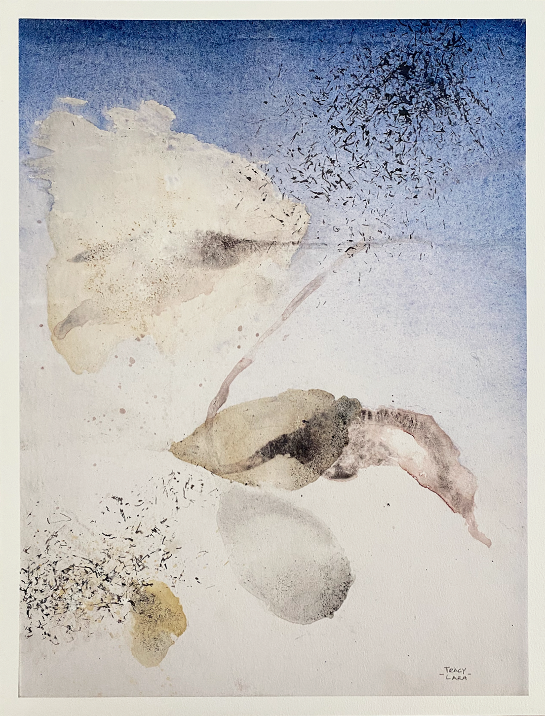 Weightless flora 4 1/5 por Tracy Lara