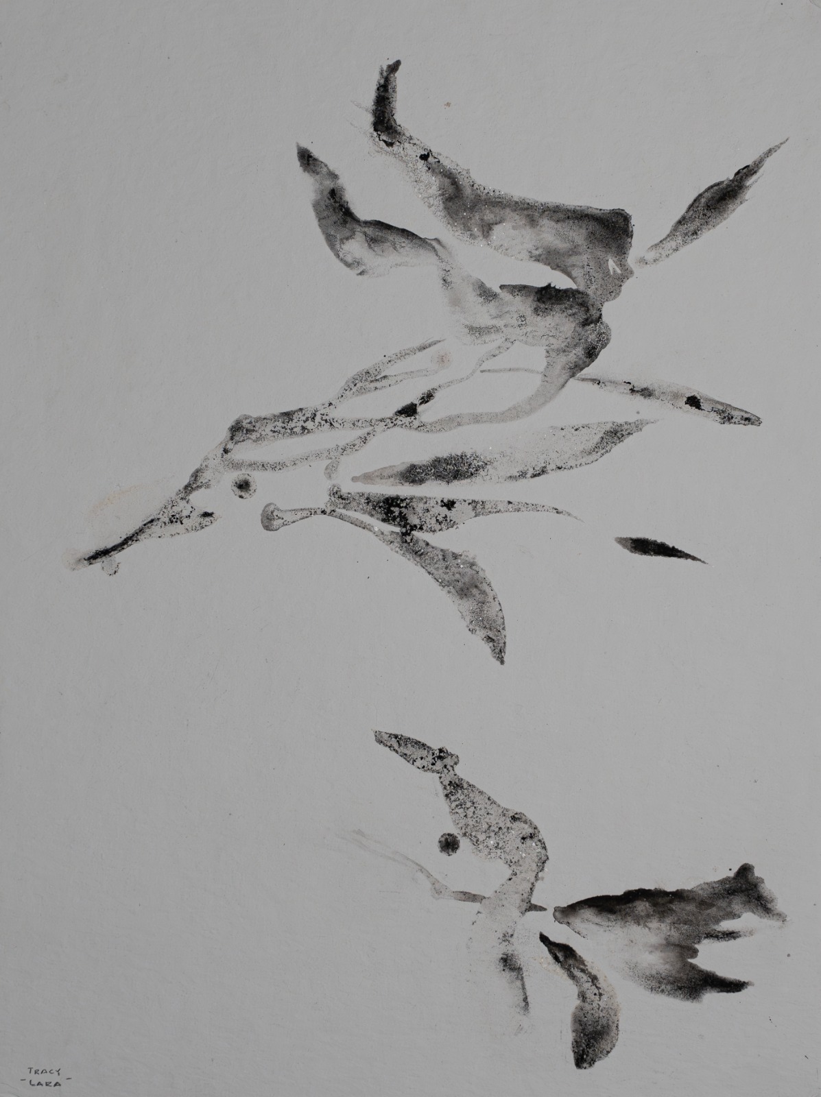 Weightless flora 7 por Tracy Lara