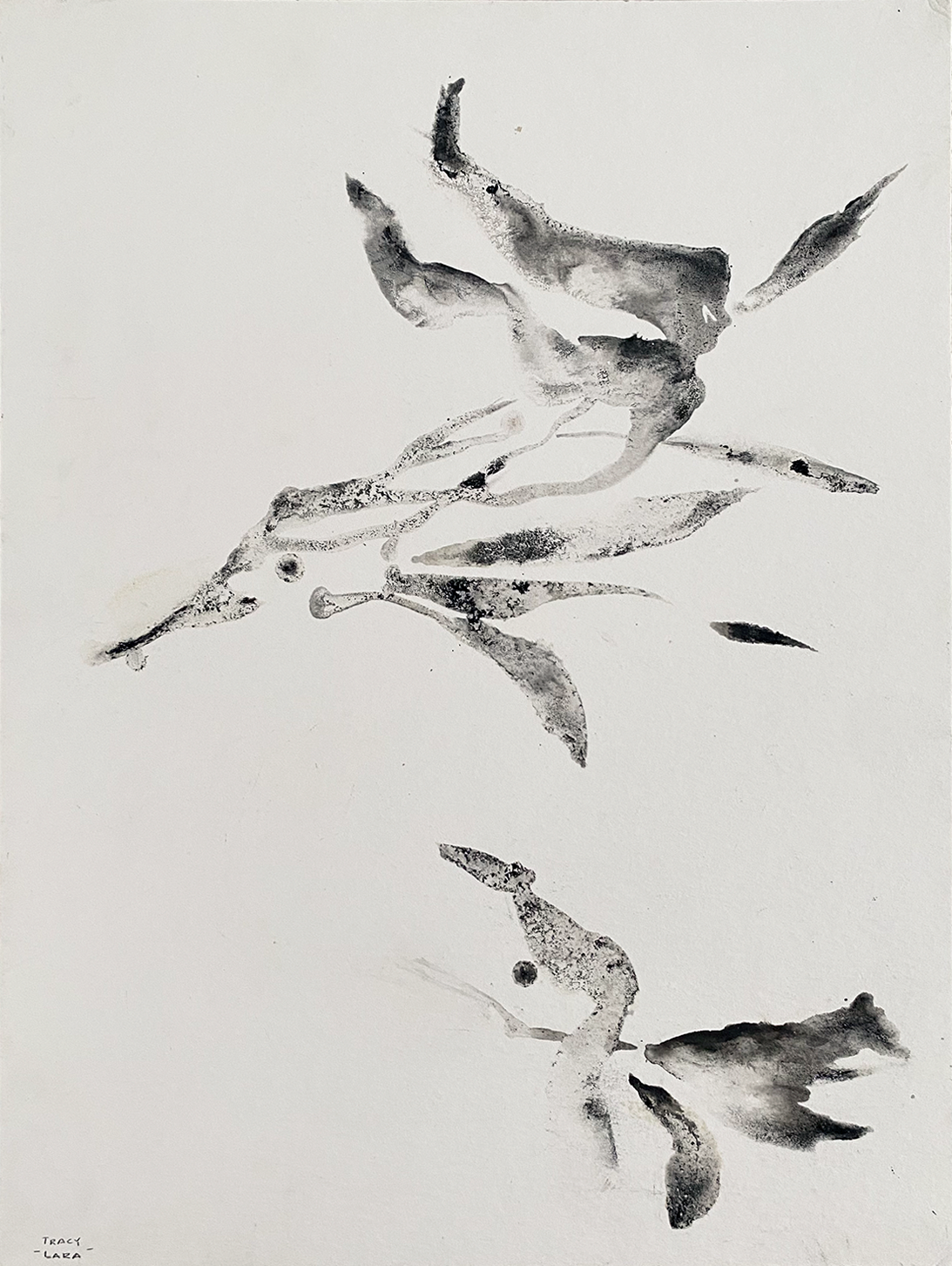 Weightless flora 7 por Tracy Lara